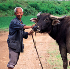 小型飼料顆粒機,農(nóng)民圓夢！